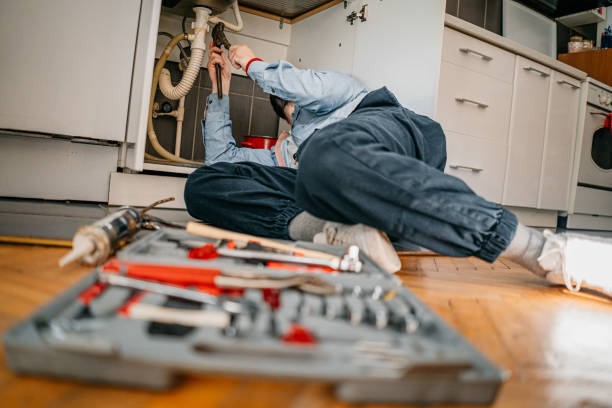 Best Plumbing Repair Near Me  in Nashvle, IL