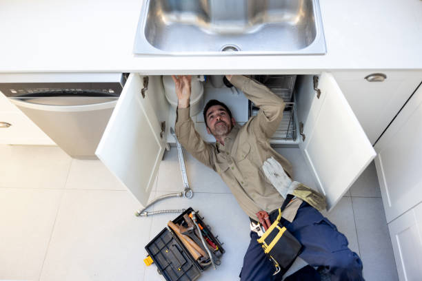 Best Plumbing Inspection Services  in Nashvle, IL