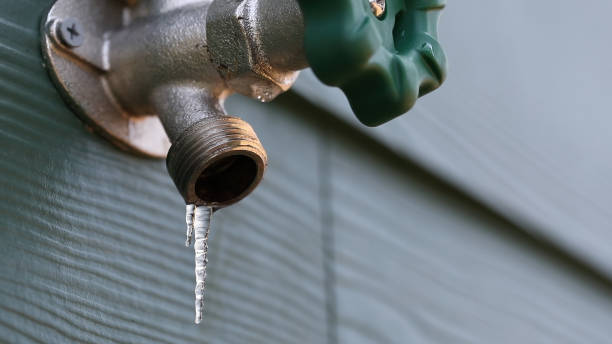 Best Emergency Plumbing Repair  in Nashvle, IL