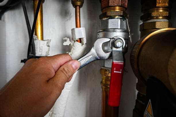 Best Plumbing Services Near Me  in Nashvle, IL